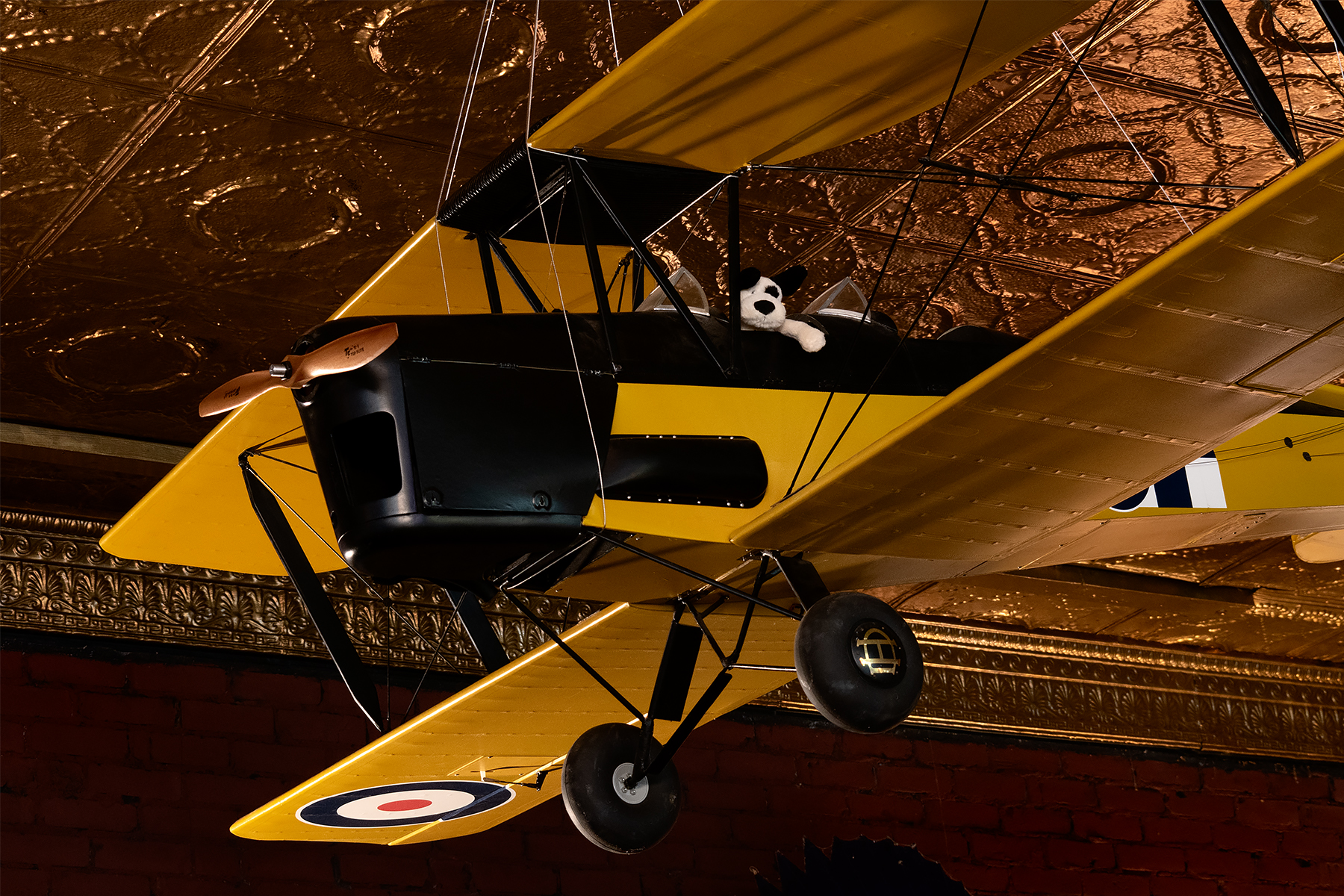 RC airplane suspended from original tin ceiling from 1903.